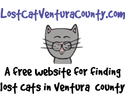 lostcatventuracounty.com